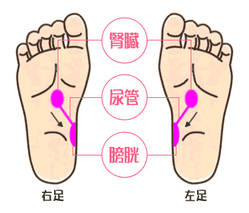 脂肪燃焼法 東洋医学編 江東区南砂と塩浜の成竹鍼灸整骨院 東砂の東洋堂鍼灸整骨院